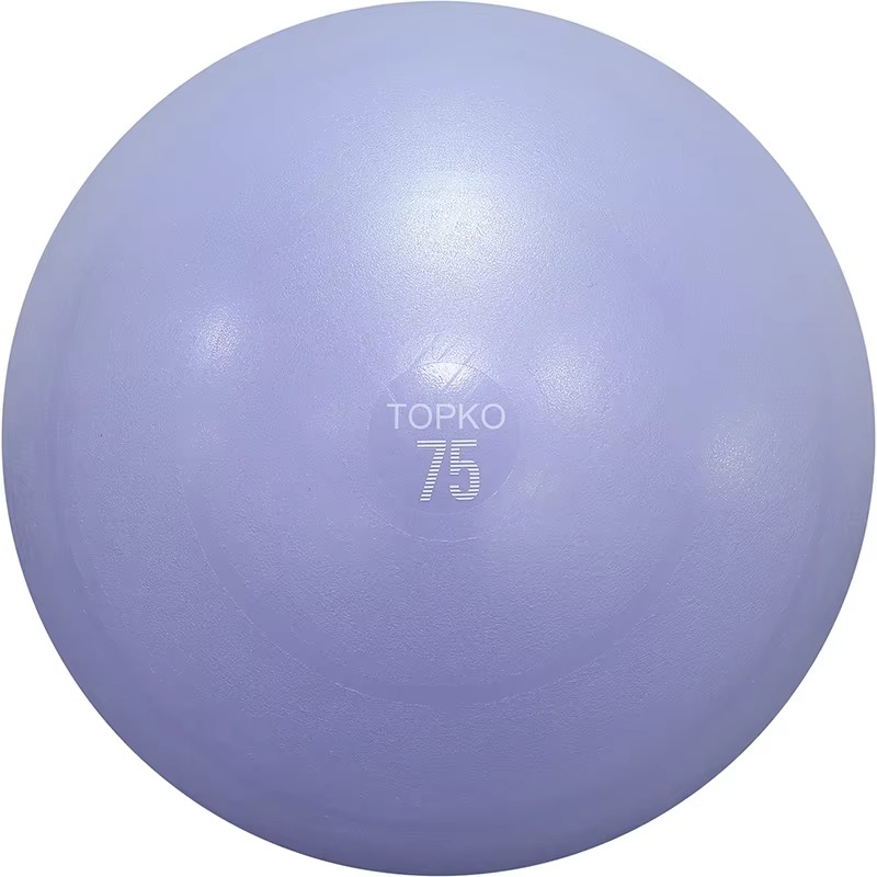 YTYIN TOPKO ballon d'exercice  - Exercise Ball Stability avis et prix