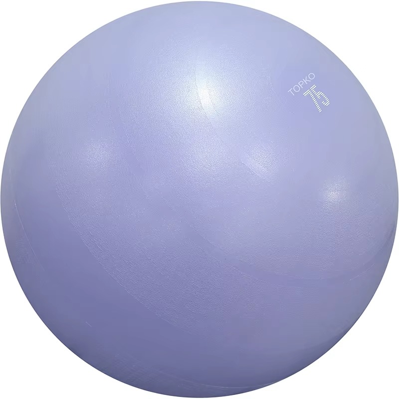 YTYIN TOPKO ballon d'exercice  - Exercise Ball Stability avis et prix